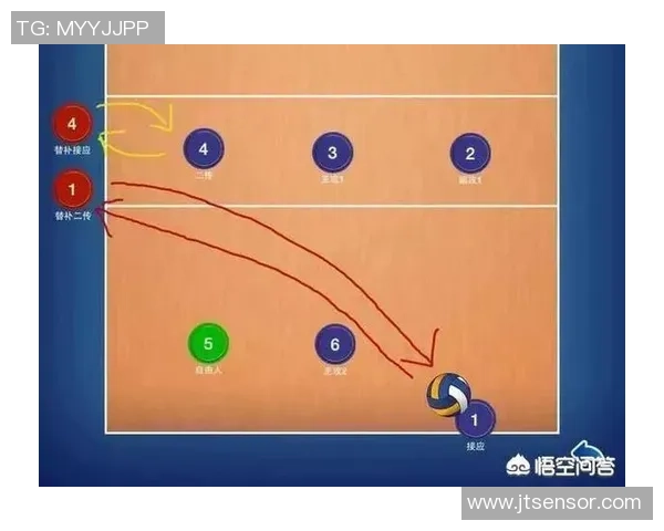 西安排球队引领排球速度榜单前十名的全新解析与展望